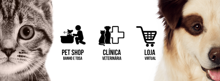 16602802 1649925665301693 5411986528662158438 n 768x284