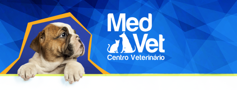 31318027 1660767623977925 7025435915412316319 n 768x292