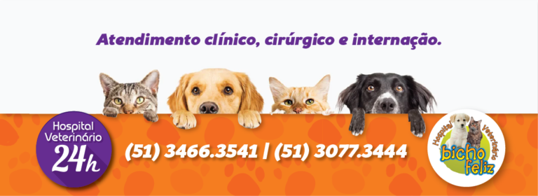 53749510 2341758209176137 5892995554484420608 o 768x280